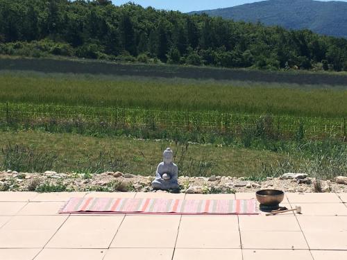 B&B / Chambre d'hôtes Le Jas du Mont Ventoux Le Jas de Verdolier Hameau de Verdolier Sault