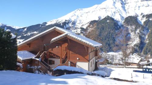 Appartement Le Lièvre Blanc, appartement N°2 Route de la Frasse Les Contamines-Montjoie