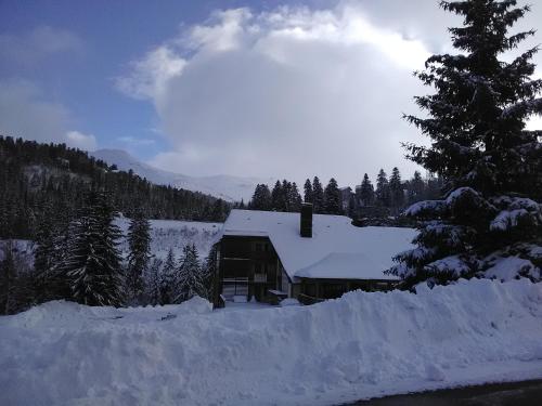 Le Lioran Studio les Myrtilles à 200m des pistes Le Lioran france