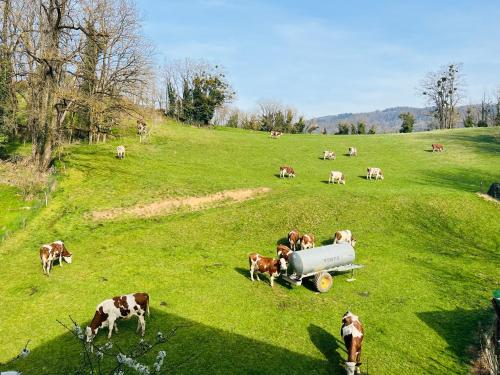 Le Lodge du Pichat Sainte-Hélène-du-Lac france