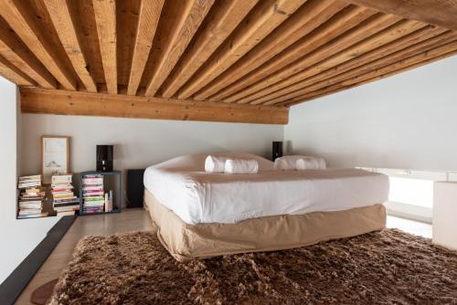 LE LOFT ETHNIC - avec jolie vue sur la Saône Lyon france