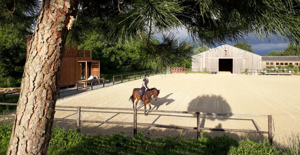 Lodge Le Manège de la Chapinière - DadaLoge LE MANEGE DE LA CHAPINIERE 3 Chemin de la Chapinière, 41110 Châteauvieux