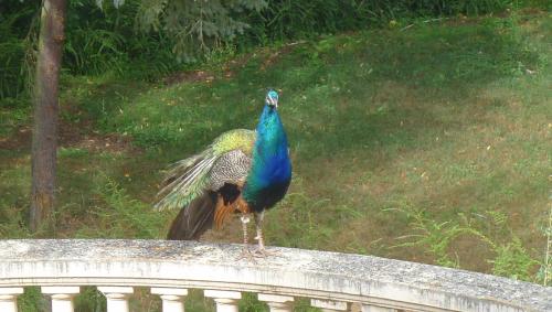 Le Manoir Tarare france