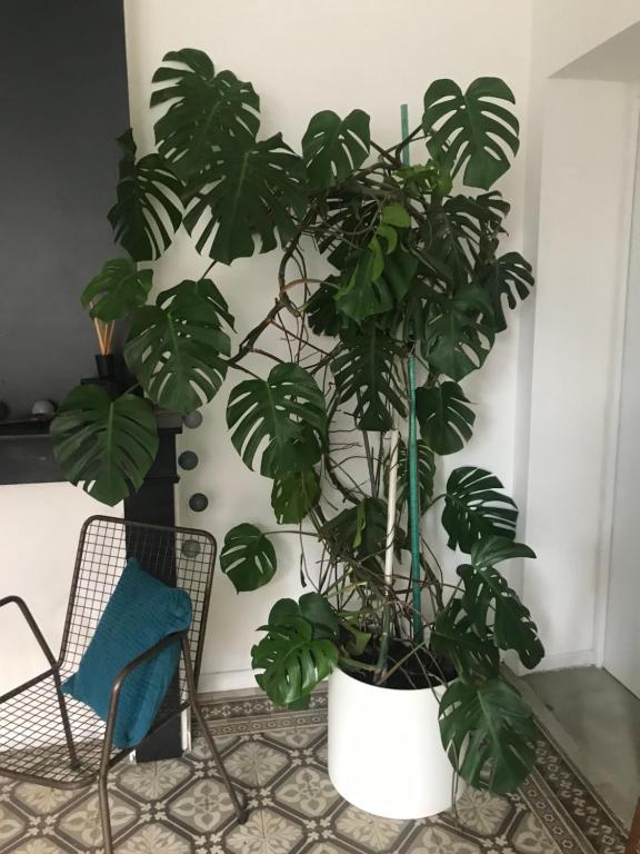 Appartement le Marais 75 bis rue Léon Boistelle, 59112 Annoeullin
