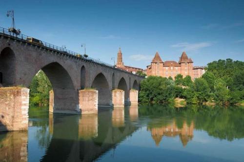 Le Marronnier Montauban france