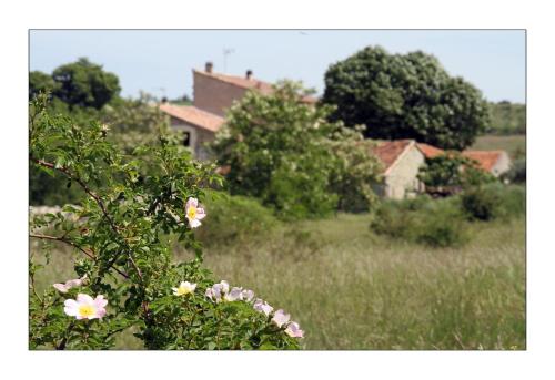 Le Mas de la Chadeniere Villeneuve-de-Berg france