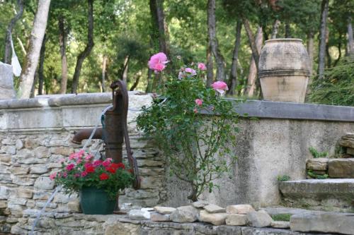 B&B / Chambre d'hôtes Le Mas de la Pinède le Crépon Faucon