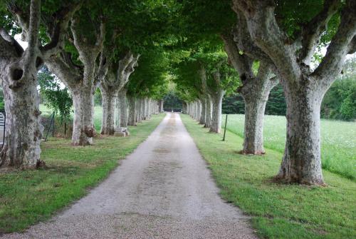 Le Mas Saint Jacques Le Pontet france