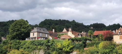 Le Mazet \ Montignac france