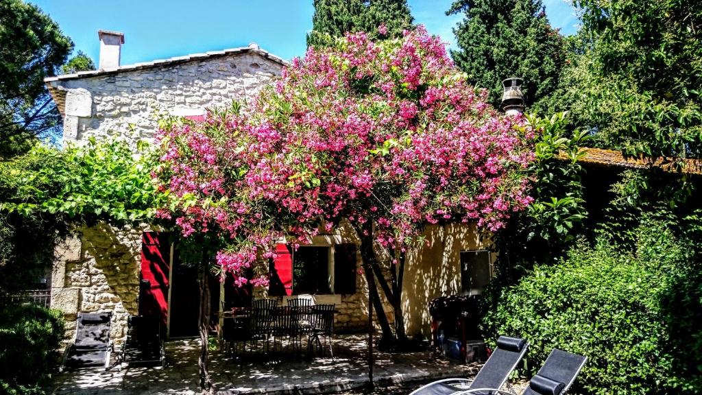 Maison de vacances Le mazet du mas Mas Boer 762 chemin de la chevalière, 13150 Tarascon