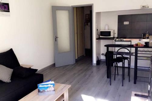 Appartement Le mermoz, studio meublé, parking, wifi, proche centre ville 34 Rue de la Croix du Sud Montpellier