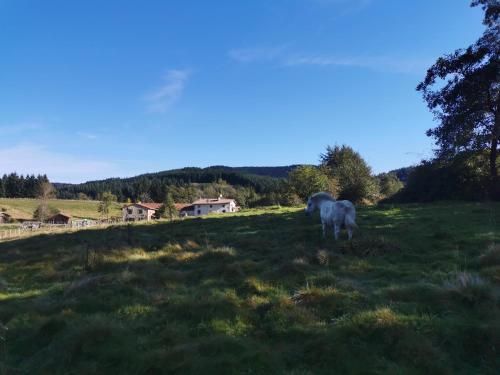 B&B / Chambre d'hôtes Le Moulin de la Fortie La Fortie Viscomtat