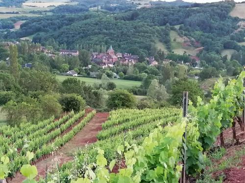 Maison de vacances Le moulin des vignes 4 IMPASSE DU MOULI BRUEJOULS Clairvaux-dʼAveyron