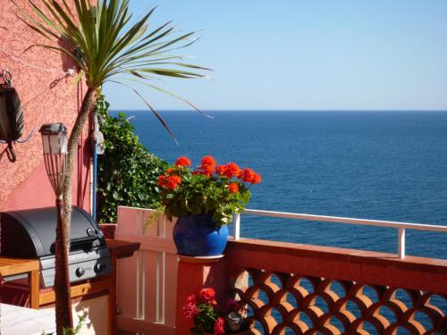 Appartement Le Mouret 24 Rue Bellevue Collioure