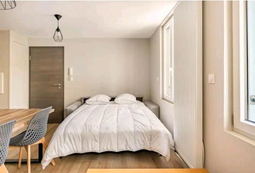 Appartement Le NATURE 1 Chambre et sauna 8 Place Haslinger Colmar