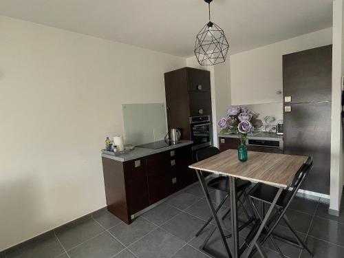 Appartement Le Nid Douillet d'Annecy 49 Rue de la Crête Annecy