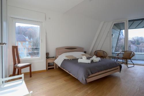 Appartement Le nid du lac d'Annecy de Tillier, 14 Annecy