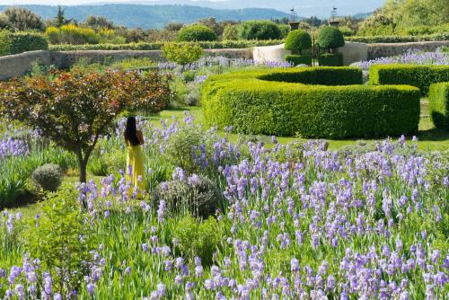 Le Pavillon de Galon Cucuron france