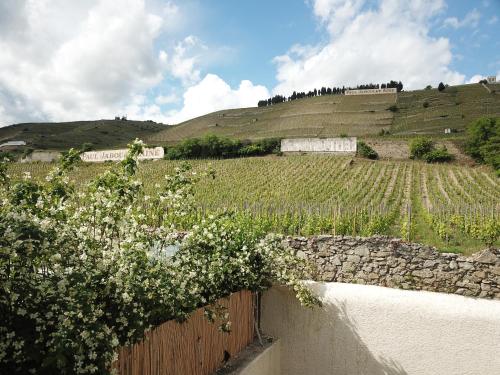 Le Pavillon de l'Hermitage - Spa Tain-lʼHermitage france