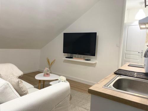 Appartement Le petit cocon 36 Rue Auguste Comte Tours