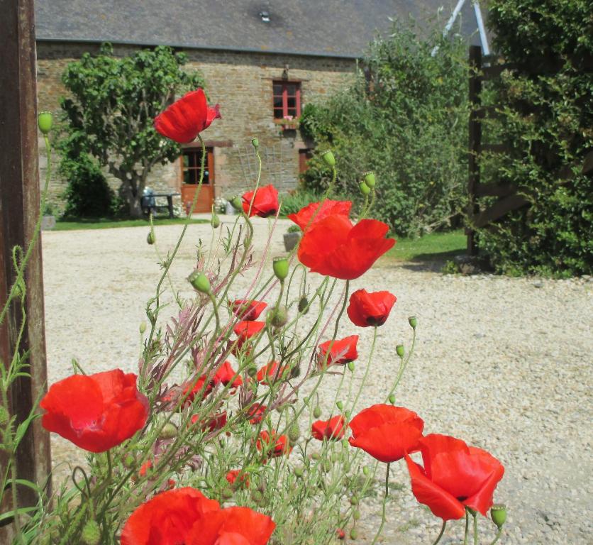 Maisons de vacances Le Petit Manoir - Jean Gédouin 21 rue de la Pierre du Tertre, 50170 Servon