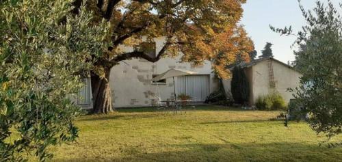 LE PETIT MAS 8 pers entre provence et camargue Barbentane france