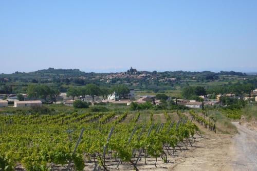 Le Petit Mas du Vigné Saint-Pargoire france