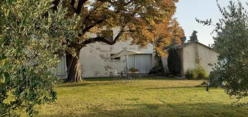 le petit mas entre provence et camargue 5 pers Barbentane france