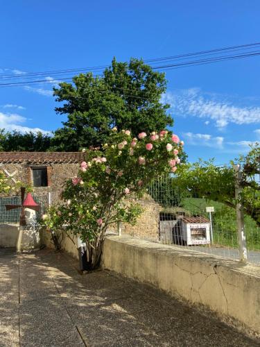 Maison d'hôtes Le petit moulin Linaudière 12 route des Charrières Pouzauges