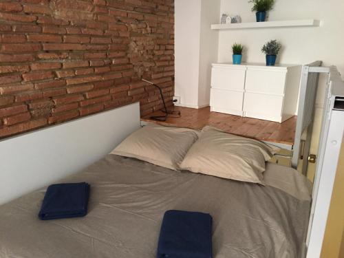 Appartement Le petit Moulin, duplex hypercentre Toulouse 19 rue des Moulins Toulouse