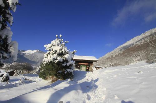 Le Petit Nid d'Amour, Propriétés Mont Amour Montriond france