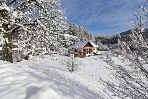 Le petit paradis Le Tholy france