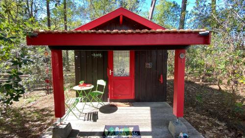 Maison de vacances Le petit poulailler au beau milieu des pins 80 Avenue du Lac Lacanau