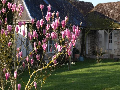 Maison d'hôtes Le Petit Villandry 21 Rue de la Mairie Villandry