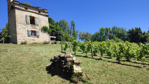 Le pigeonnier de felines Caylus france