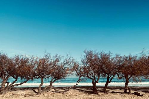 Villas le Piu Piu LIEU DIT VIGNA AL PORTO Algajola