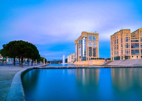 Le plus bel appartement proche de l'hôtel de ville Montpellier france