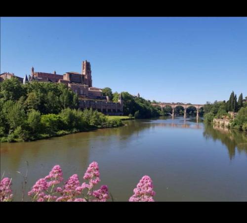 LE PORTA 9 N°2 Albi france