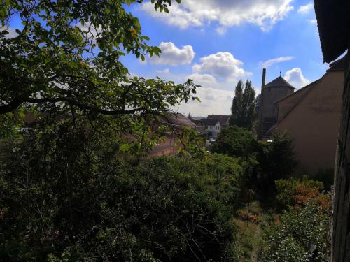 Le Potager Dambach-la-Ville france