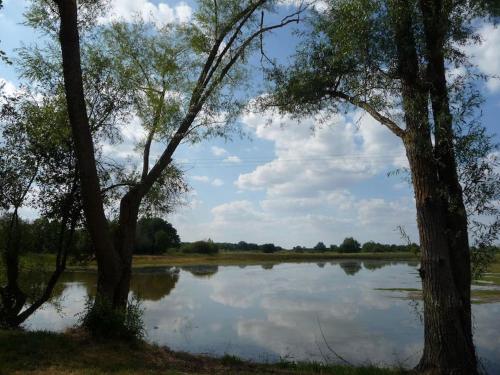 Le Prieuré de Loups Saint-Michel-en-Brenne france