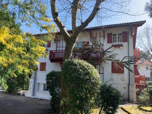 Appartement Le Ptit Moulleau 64 Avenue du Parc Arcachon