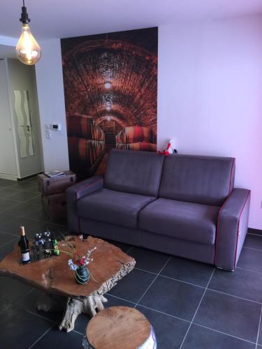 Appartement Le Riesling Colmar All inclusive Free parking 30 Route de Neuf-Brisach Colmar