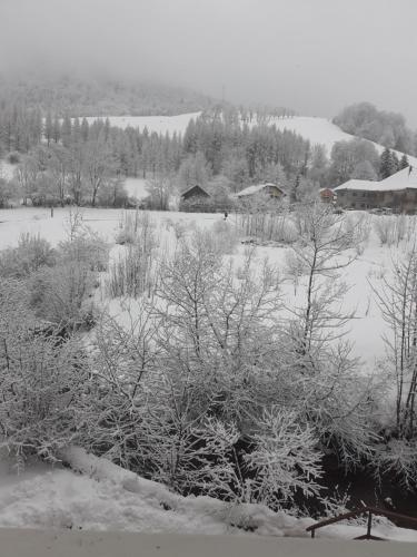 Le rossane Aillon-le-Jeune france