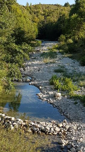 Le Roubion Bourdeaux france