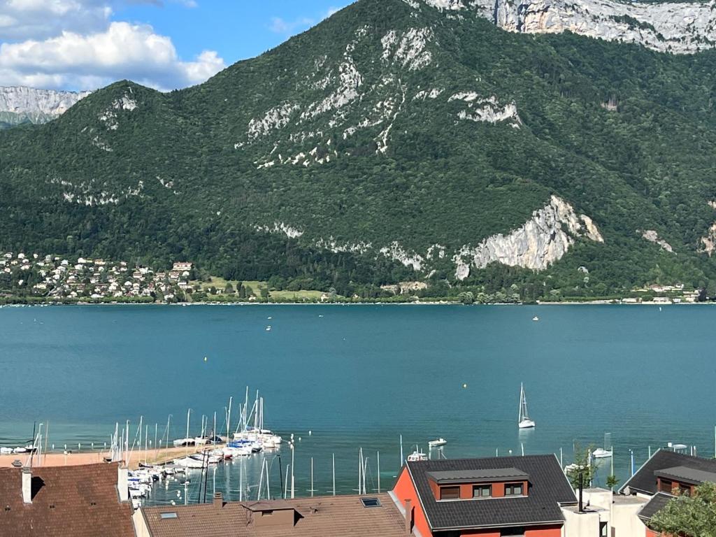 Appartement LE SAPHIR 10 CHEMIN DU TILLIER, 74000 Annecy