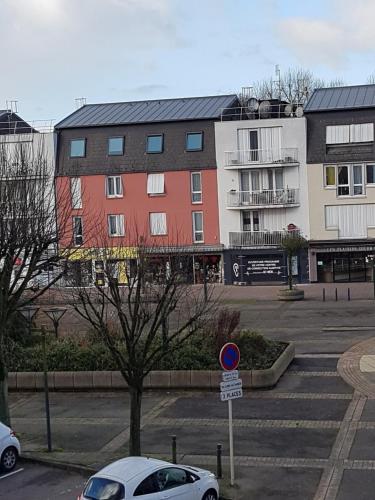 le saule Canteleu france