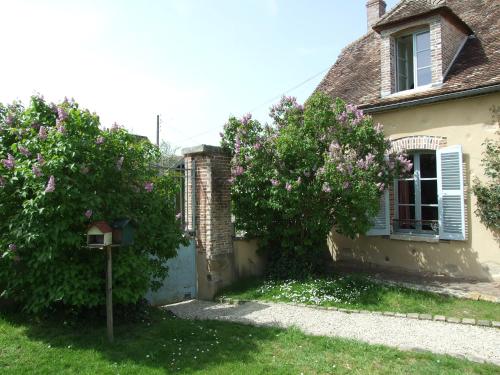 Le Saule Argenté La Villeneuve-au-Châtelot france