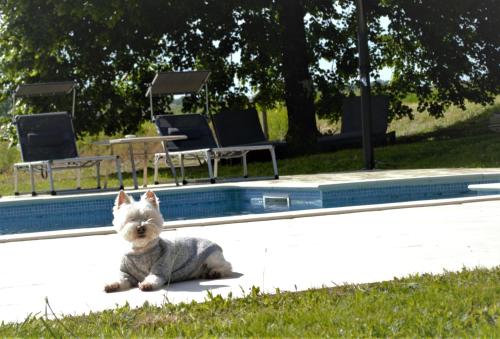 Lodge Le Shedeaux SAINT PRIVAT DES PRES LE BREUIL Saint-Privat-des-Prés