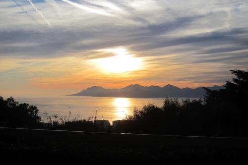 Le St Georges Californie, Appartement-Villa avec Grand Jardin et Vue Mer Cannes france