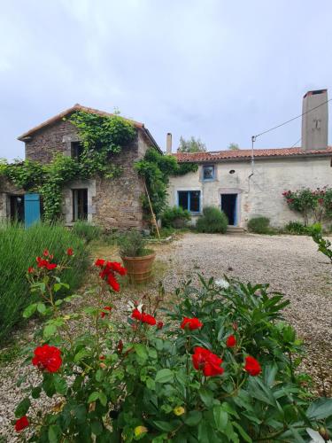 Le Terrier maison de campagne 250 m2 grande capacité 20 couchages, 4500m2 de terrain Saint-Pierre-du-Chemin france